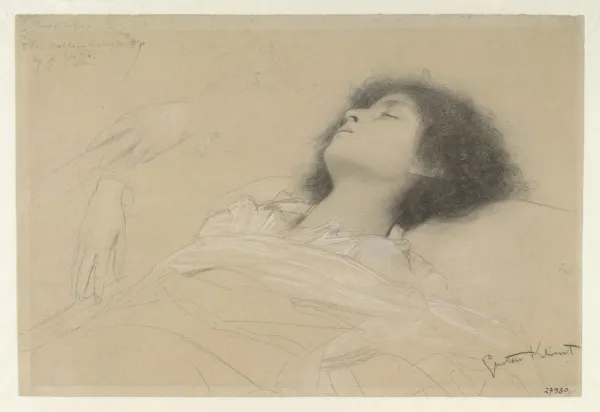 Klimt, retratista académico